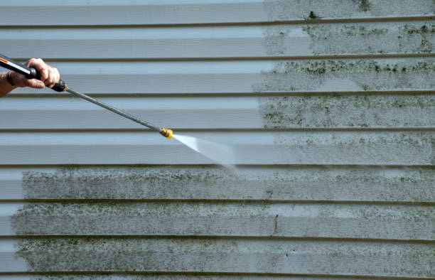 Best Gutter Cleaning  in Parkers Prairie, MN